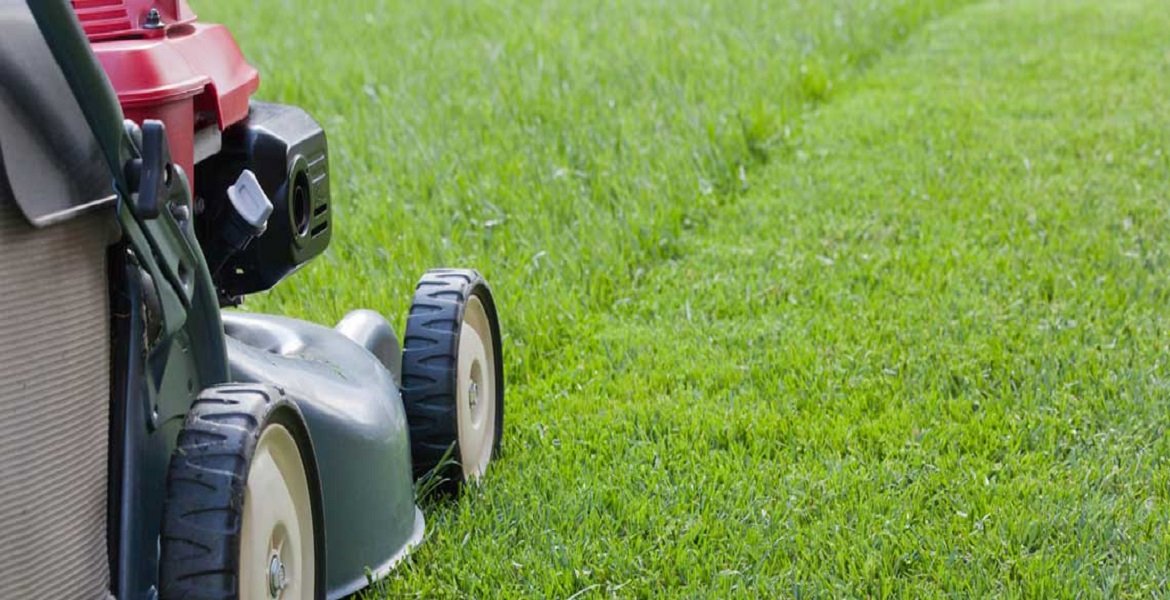 toms mowing regular lawn mowing from 35 0466 222 121 lawn mowing and gardening services